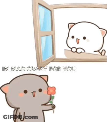 A Cartoon Cat Is Holding A Flower And Looking Out Of A Window At Another Cat . GIF