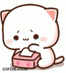 A Cartoon Cat Is Holding A Pink Box Of Tissues And Crying . GIF