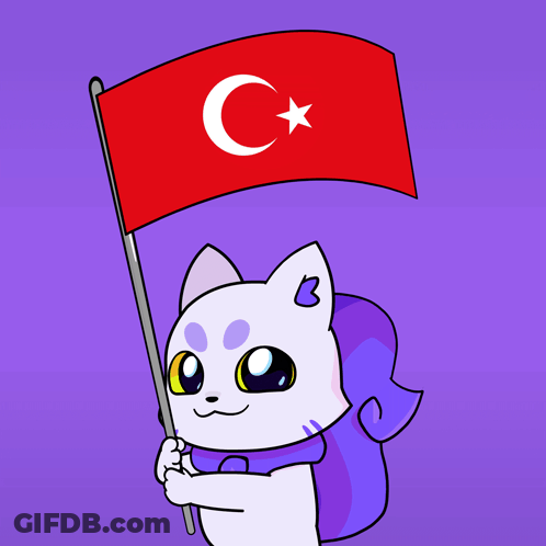 A Cartoon Cat Is Holding A Red Flag With A Crescent Moon And Star GIF
