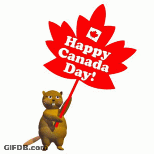 A Cartoon Cat Is Holding A Red Umbrella With A Red Heart In The Background GIF