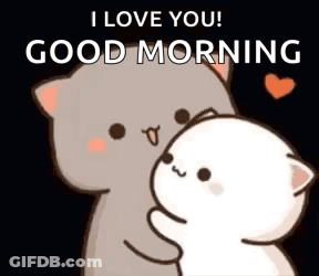 A Cartoon Cat Is Hugging Another Cat With The Words `` I Love You ! Good Morning '' . GIF