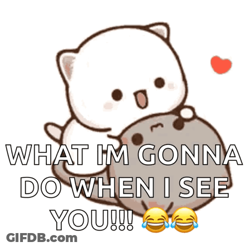 A Cartoon Cat Is Hugging Another Cat With The Words What Im Gonna Do When I See You GIF