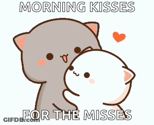 A Cartoon Cat Is Kissing Another Cat With The Words Morning Kisses For The Misses GIF