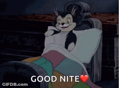 A Cartoon Cat Is Laying In A Bed With The Words Good Nite Written On The Bottom GIF