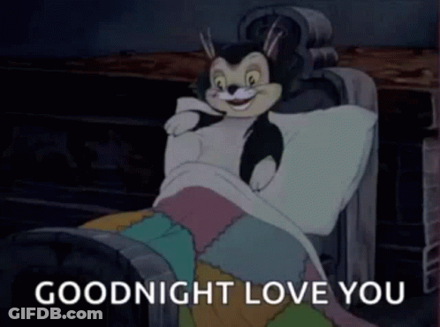 A Cartoon Cat Is Laying In A Bed With The Words Goodnight Love You Written Below It . GIF