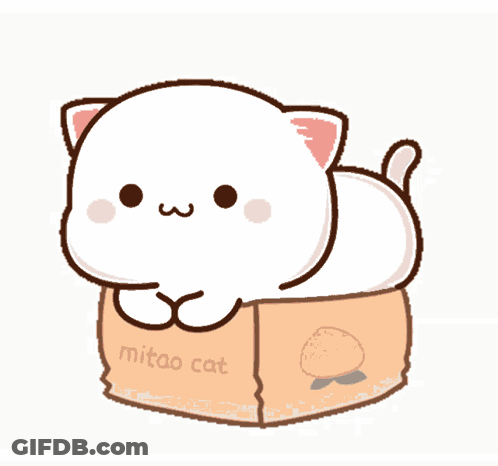 Cat Laying In Mitao Cat Box GIF