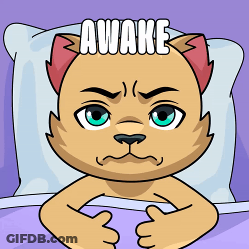 A Cartoon Cat Is Laying In Bed With The Words Awake Above Him GIF