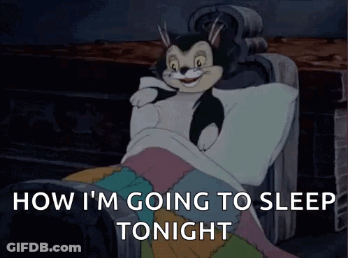 A Cartoon Cat Is Laying In Bed With The Words " How I 'M Going To Sleep Tonight " On The Bottom GIF