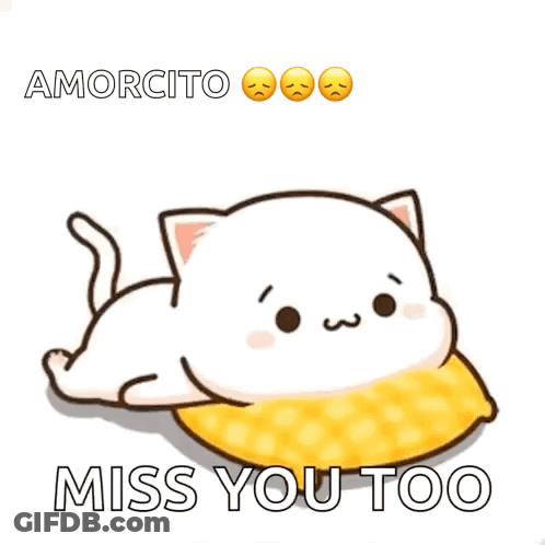 A Cartoon Cat Is Laying On A Pillow With The Words Amorcito Miss You Too Below It GIF