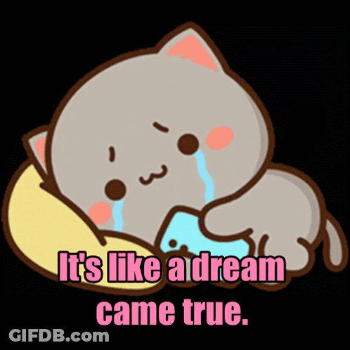 A Cartoon Cat Is Laying On A Pillow With The Words " It 'S Like A Dream Came True " GIF