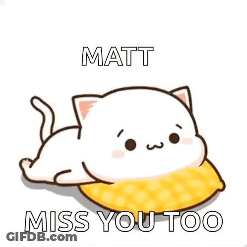 A Cartoon Cat Is Laying On A Pillow With The Words Matt Miss You Too Written On It . GIF