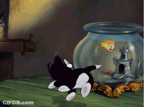 A Cartoon Cat Is Looking At A Fish In A Fish Bowl GIF