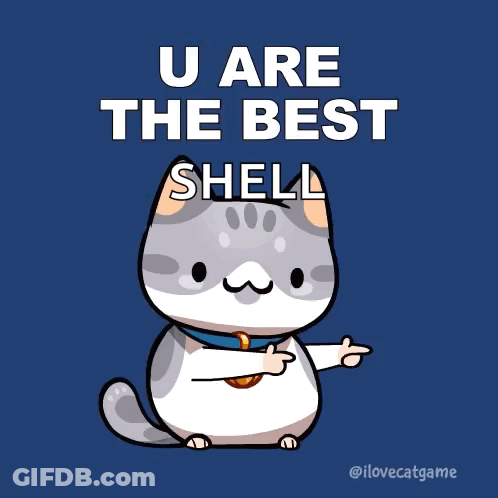 A Cartoon Cat Is Pointing At The Words U Are The Best Shell GIF