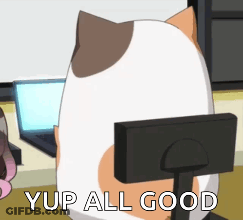 A Cartoon Cat Is Sitting In Front Of A Computer Monitor With The Words Yup All Good Below It GIF