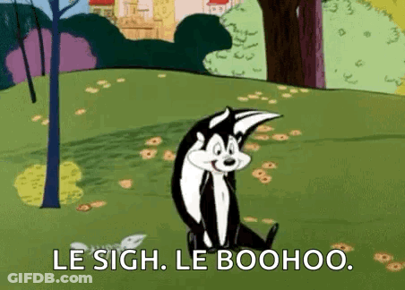 A Cartoon Cat Is Sitting In The Grass With The Words `` Le Sigh , Le Boohoo '' Written On It . GIF