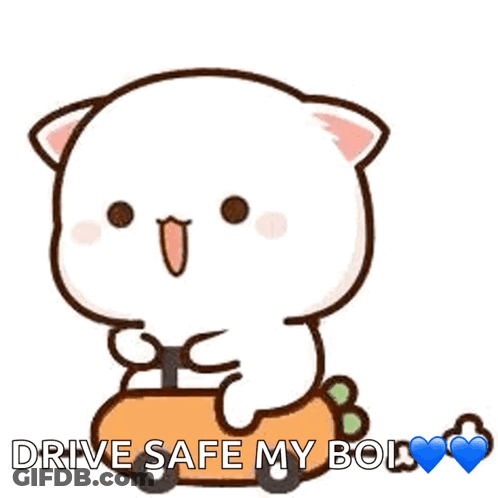 A Cartoon Cat Is Sitting On A Carrot With The Words " Drive Safe My Boi " Below It GIF