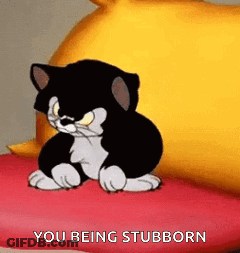 A Cartoon Cat Is Sitting On A Red Pillow With The Words You Being Stubborn Written On It . GIF