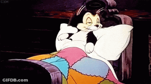A Cartoon Cat Is Sleeping In A Bed With A Colorful Quilt . GIF