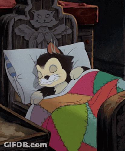 A Cartoon Cat Is Sleeping In A Bed With A Colorful Quilt GIF
