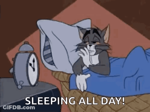A Cartoon Cat Is Sleeping In A Bed With An Alarm Clock . GIF