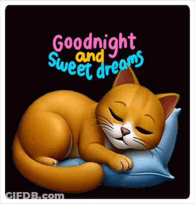 A Cartoon Cat Is Sleeping On A Pillow With The Words Goodnight And Sweet Dreams Written Above It . GIF