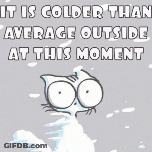 A Cartoon Cat Is Standing In The Snow With The Words " It Is Colder Than Average Outside At This Moment " GIF