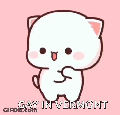 A Cartoon Cat Is Standing On A Pink Background With The Words `` Gay In Vermont '' . GIF