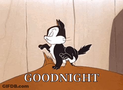 A Cartoon Cat Is Standing On A Rock With The Words Goodnight Below It . GIF