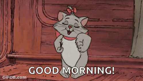 A Cartoon Cat Is Standing On A Wooden Floor And Saying Good Morning . GIF