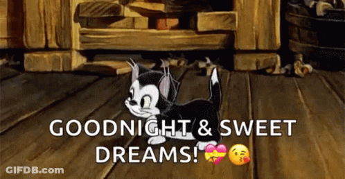 A Cartoon Cat Is Walking On A Wooden Floor With The Words `` Goodnight And Sweet Dreams '' . GIF