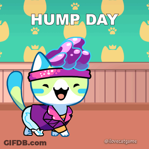 A Cartoon Cat Is Wearing A Headband And Sunglasses And Says Hump Day GIF