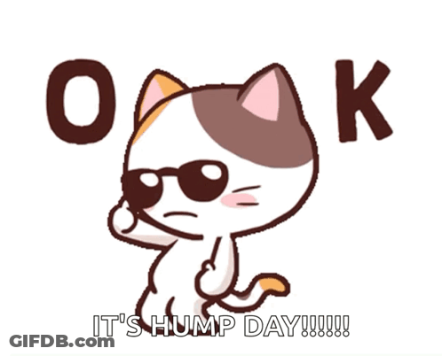 A Cartoon Cat Is Wearing Sunglasses And Says " It 'S Hump Day " GIF