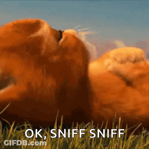 A Cartoon Cat Laying In The Grass With The Words Ok Sniff Sniff Written Below It GIF