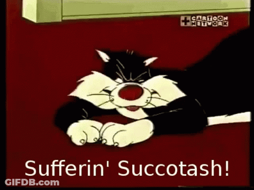 A Cartoon Cat Laying On The Floor With The Words Sufferin ' Succotash GIF