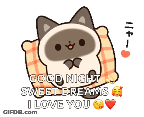 A Cartoon Cat Peeking Out From Behind A Checkered Pillow And Saying Good Night Sweet Dreams I Love You GIF