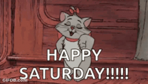 A Cartoon Cat Says Happy Saturday On A Red Background GIF
