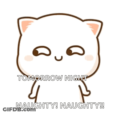 A Cartoon Cat Says Tomorrow Night Naughty And Naughty GIF