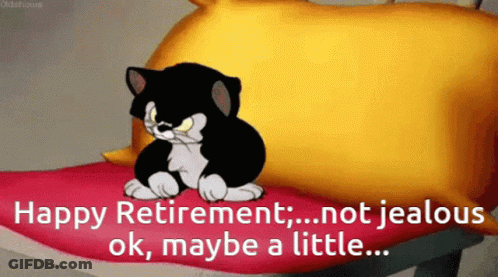 A Cartoon Cat Sits On A Pillow With The Words Happy Retirement Not Jealous Ok Maybe A Little On The Bottom GIF
