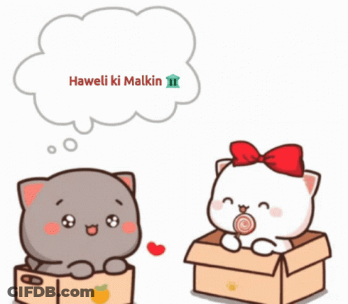A Cartoon Cat Sitting In A Box With A Lollipop And A Thought Bubble That Says " Haweli Ki Malkin " GIF