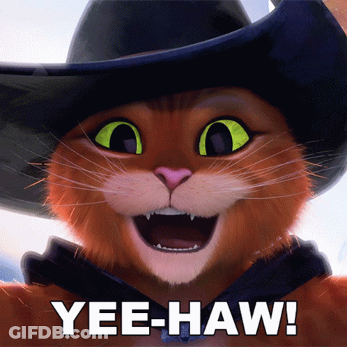 A Cartoon Cat Wearing A Cowboy Hat With The Caption Yee-Haw GIF