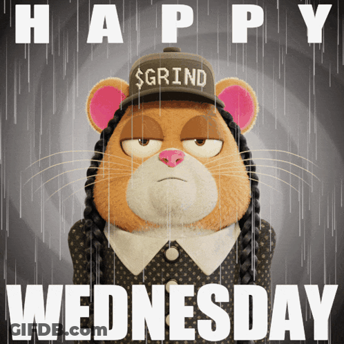 A Cartoon Cat Wearing A Hat That Says Grind On It GIF