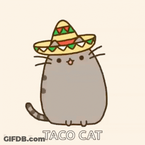 A Cartoon Cat Wearing A Sombrero With The Words Taco Cat Written Below It . GIF