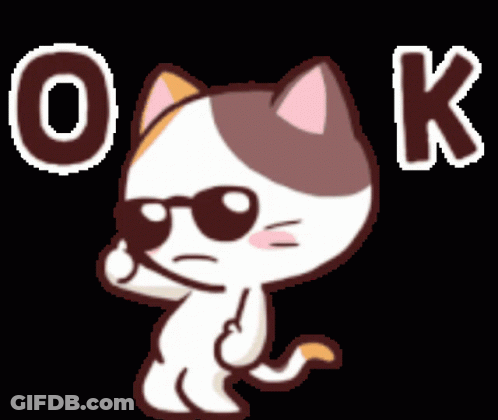 A Cartoon Cat Wearing Sunglasses And The Word Ok GIF