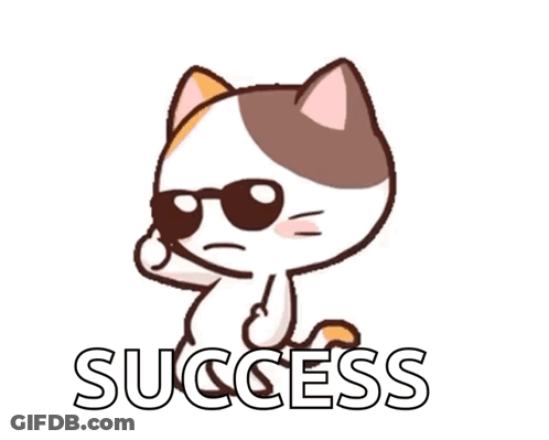 A Cartoon Cat Wearing Sunglasses And The Word Success GIF