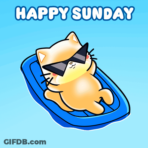 A Cartoon Cat Wearing Sunglasses Is Laying On A Blue Raft With The Words Happy Sunday Above It GIF