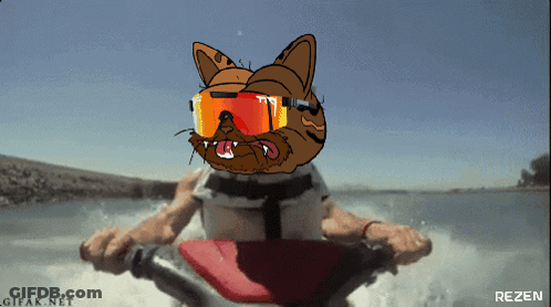 A Cartoon Cat Wearing Sunglasses Is Riding A Jet Ski In The Water GIF