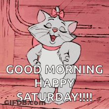 A Cartoon Cat With A Bow On Its Head Says Good Morning Happy Saturday !!! GIF