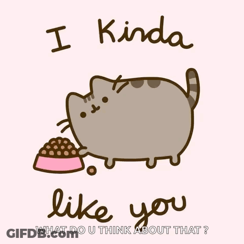 A Cartoon Cat With A Bowl Of Food Says I Kinda Like You What Do U Think About That ? GIF