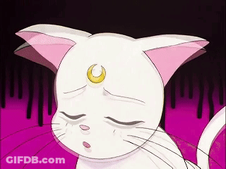A Cartoon Cat With A Crescent Moon On Its Forehead GIF