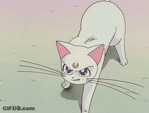 A Cartoon Cat With A Crescent Moon On Its Head GIF
